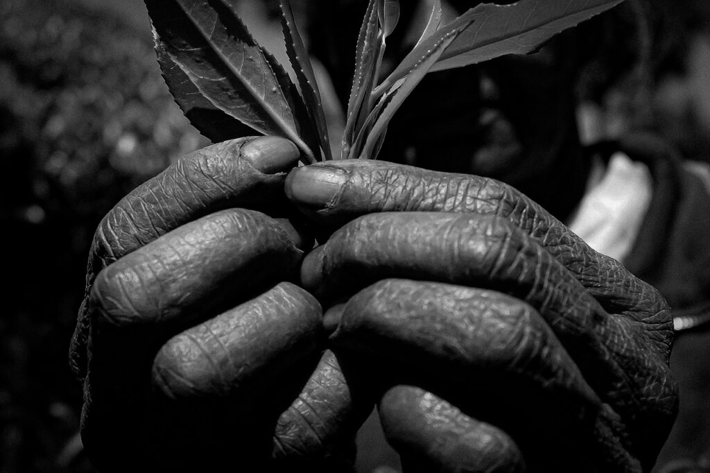 シミとシワ対策に効果的な化粧品ランキングは？