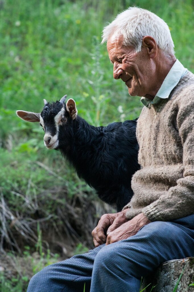 メラノホワイトで白髪を改善する方法は？