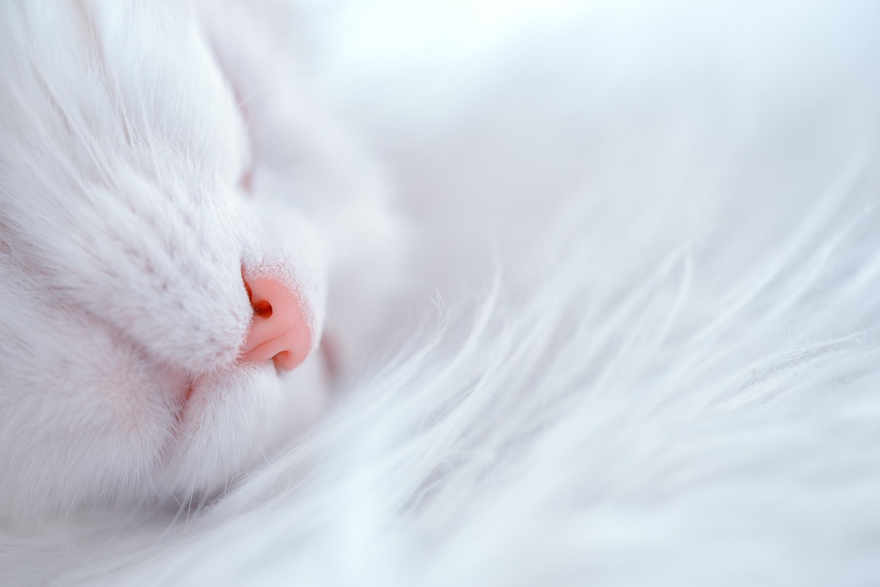 睡眠不足が引き起こす薄毛やシミの改善方法は？