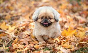 美容皮膚科でのシミ治療に関する体験談はどんなものがある？